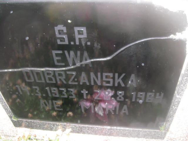 Anna Dobrzańska 1894 Rzeczenica - Grobonet - Wyszukiwarka osób pochowanych